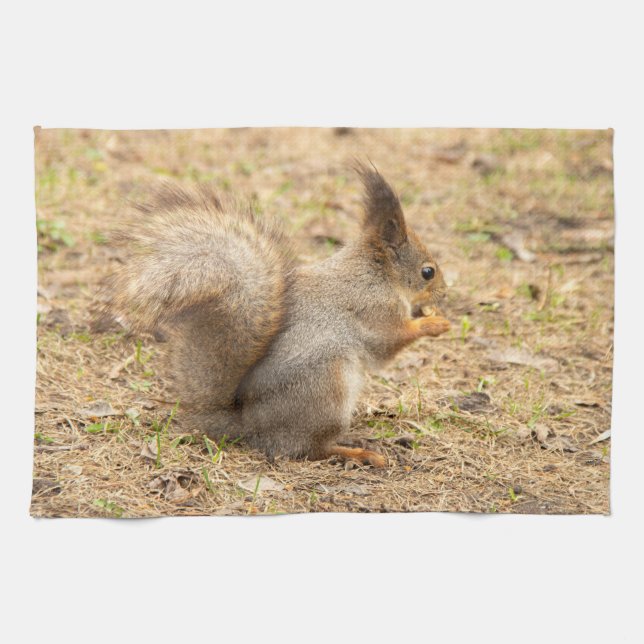 Cute squirrel eats a nut photo tea towel (Horizontal)