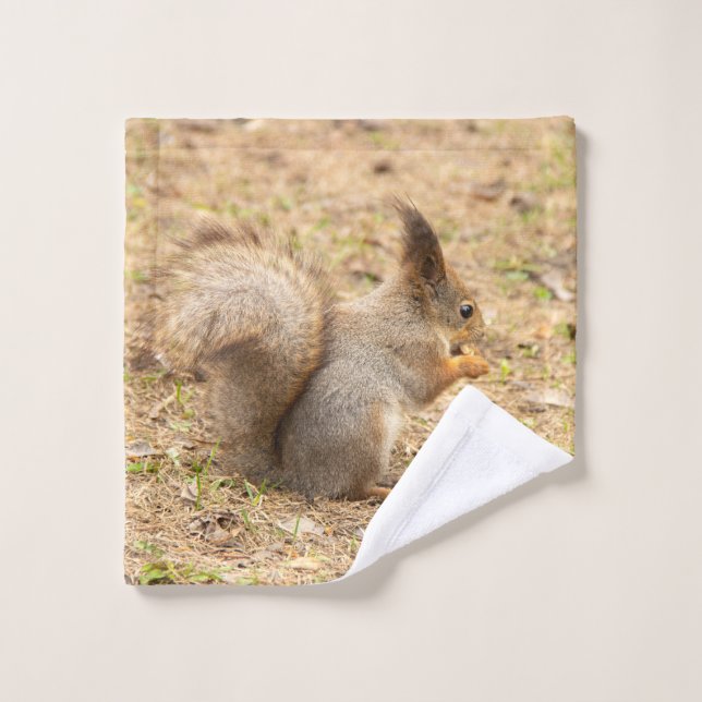 Cute squirrel eats a nut photo wash cloth (Wash Cloth)