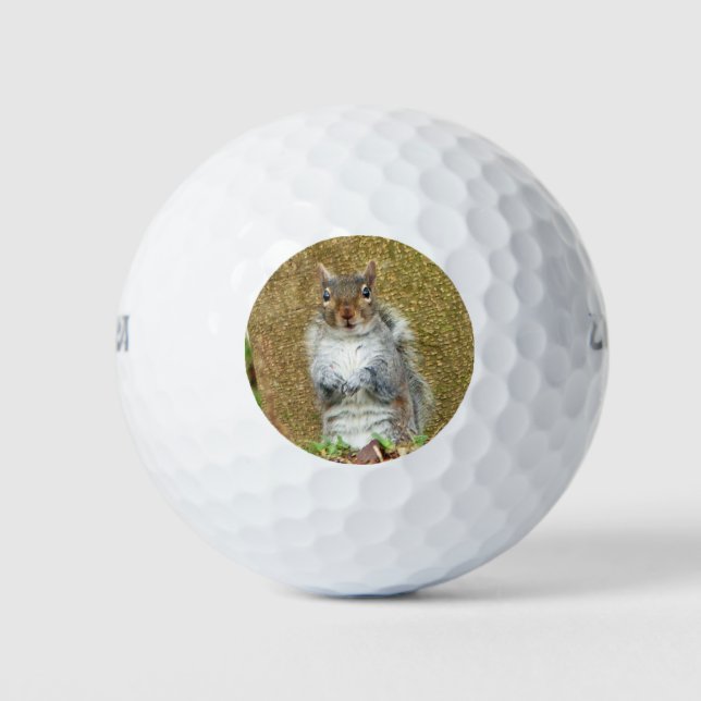 Cute Squirrel Golf Balls (Front)
