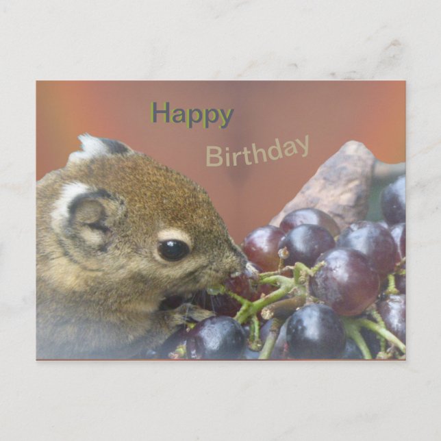 Cute Squirrel Happy Birthday Postcard (Front)