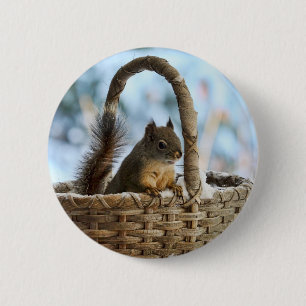 Cute Squirrel in a Basket in Winter 6 Cm Round Badge