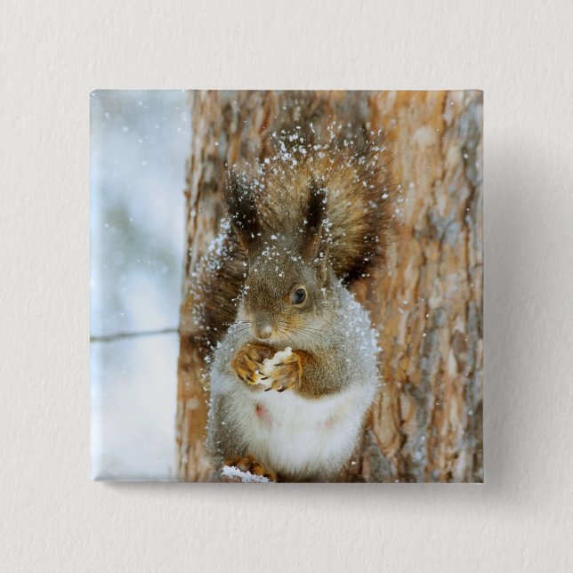 Cute Squirrel in a Winter Landscape 15 Cm Square Badge (Front)