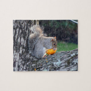 Cute Squirrel in Tree Eating Mini Pumpkin Difficul Jigsaw Puzzle