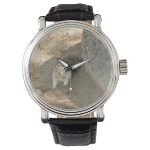 Cute Squirrel in Yosemite, CA Watch