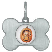 Cute Squirrel inside Halloween Pumpkin Jack o Lant