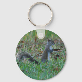 Cute Squirrel Key Ring