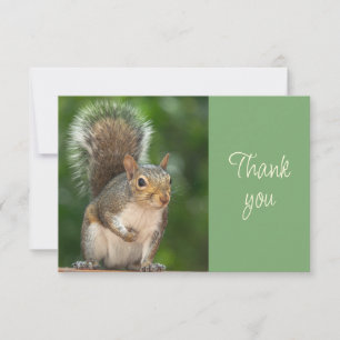Cute Squirrel Looking Thankful Thank You Card