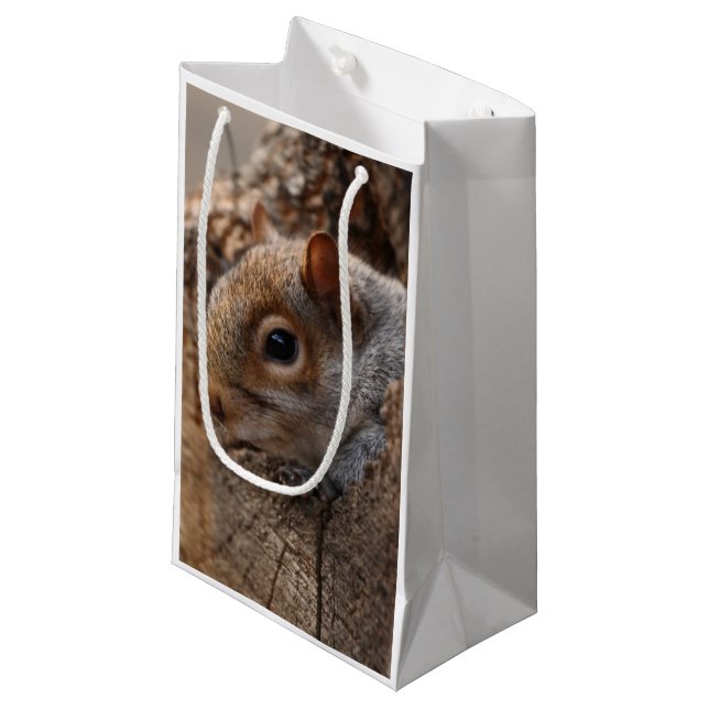 Cute squirrel looks out of her hole small gift bag (Front Angled)