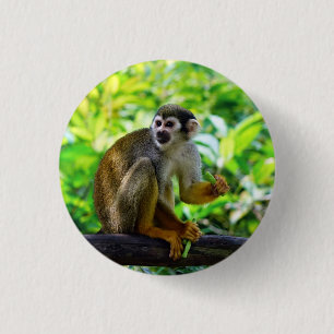 Cute squirrel monkey 3 cm round badge