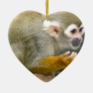 Cute Squirrel Monkey Ornaments