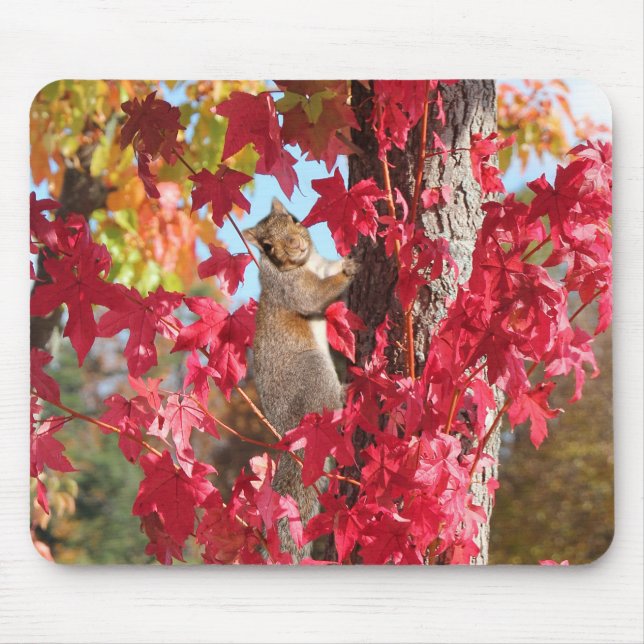 Cute Squirrel Mouse Pad (Front)