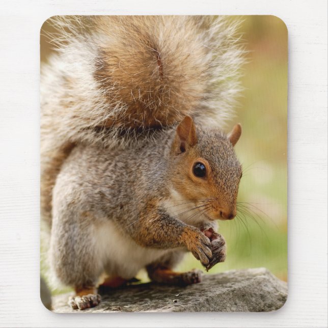 Cute Squirrel Mouse Pad (Front)