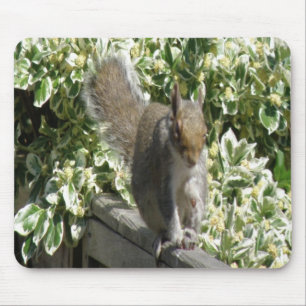 Cute Squirrel Mousepad