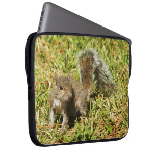 Cute Squirrel Nature Laptop Sleeve