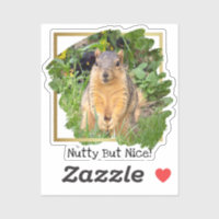 Cute Squirrel Nutty But Nice
