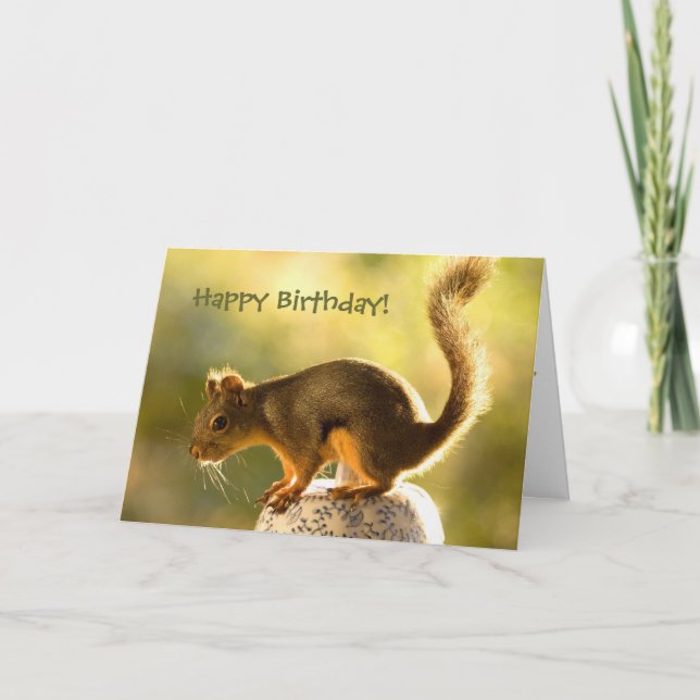 Cute Squirrel on a Cookie Jar Card (Front)