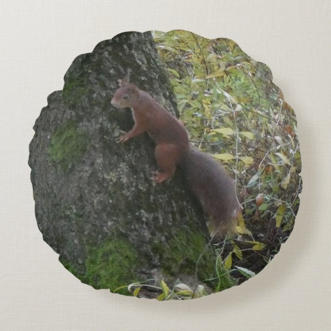 Cute Squirrel on Tree Trunk Round Pillow (Front)