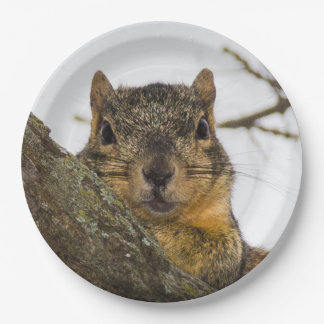 Cute Squirrel Paper Plate