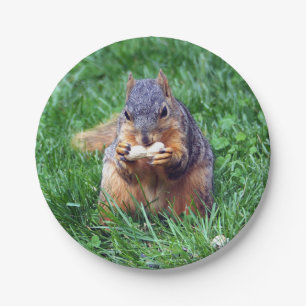 Cute Squirrel Peanut Photo Paper Plate