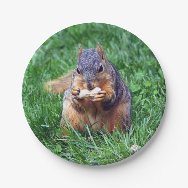 Cute Squirrel Peanut Photo Paper Plate (Front)