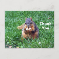 Cute Squirrel Peanut Photo Thank You