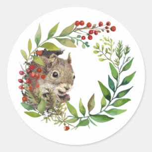 Cute Squirrel Peeking out Holly Wreath Classic Round Sticker