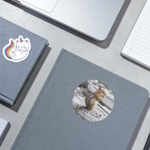 Cute Squirrel Photo Classic Round Sticker
