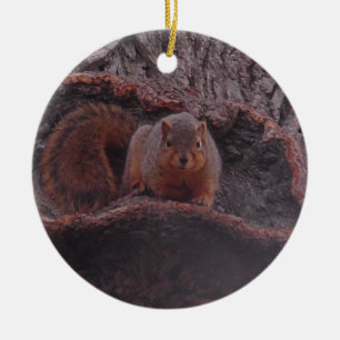 Cute Squirrel Photo Personalised Ceramic Tree Decoration
