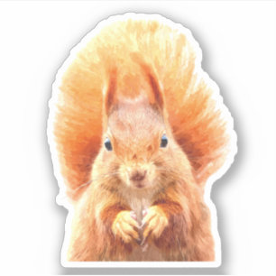 Cute Squirrel Portrait