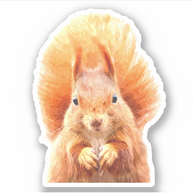 Cute Squirrel Portrait (Front)