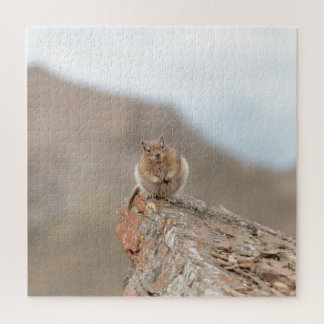Cute squirrel puzzle