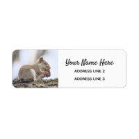 Cute Squirrel Return Address Labels