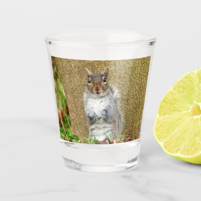 Cute Squirrel Shot Glass (Front)