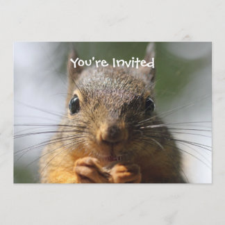 Cute Squirrel Smiling Macro Photo Invitation