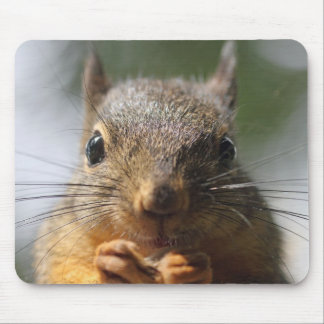 Cute Squirrel Smiling Photo Mouse Pad