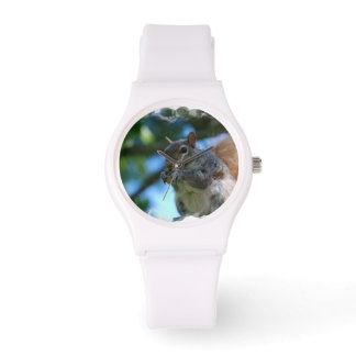 Cute Squirrel Watch