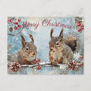 Cute Squirrel Winter Christmas Holiday Postcard