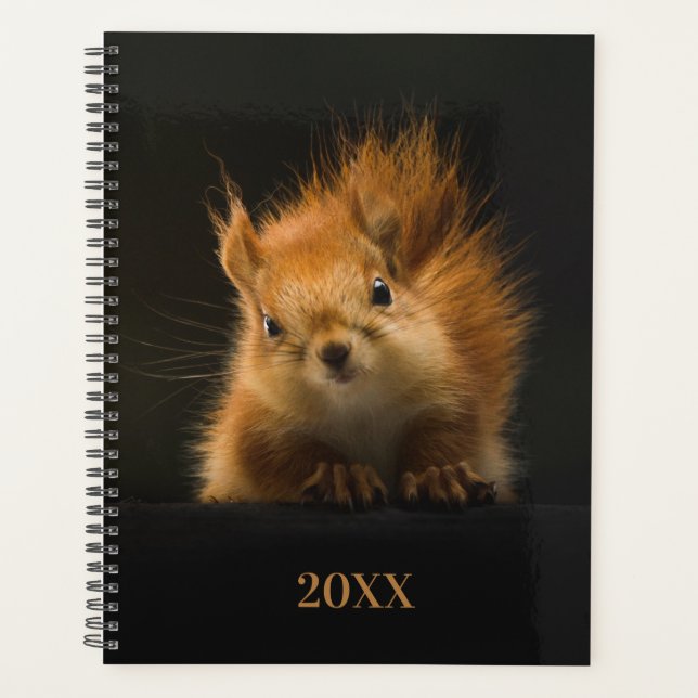 Cute Squirrel Year Planner (Front)