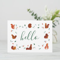Cute Squirrels