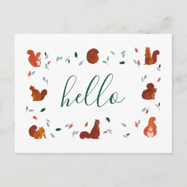 Cute Squirrels Postcard (Front)