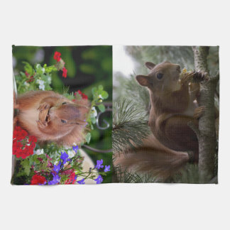Cute Squirrels Tea Towel