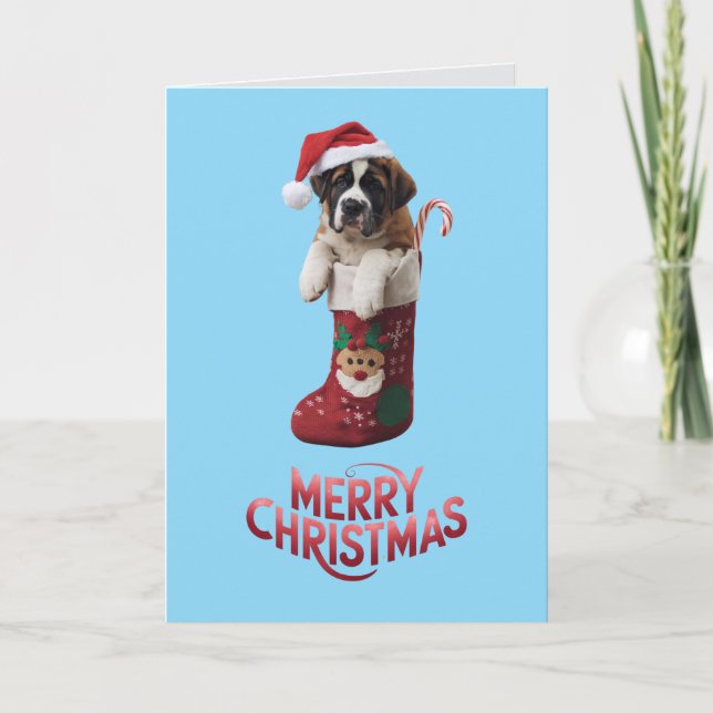 Cute St. Bernard Christmas  Holiday Card (Front)