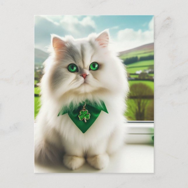 Cute St. Patricks Day Cat Fluffy White Cat Postcard (Front)