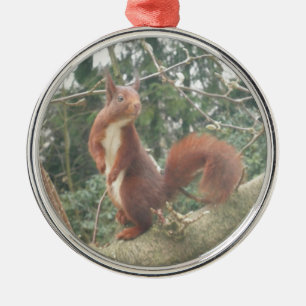 Cute Standing Squirrel Metal Ornament