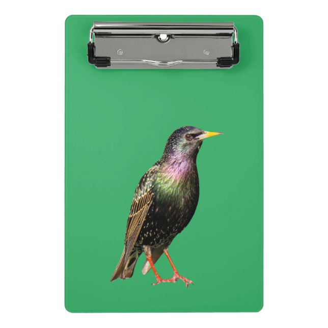 Cute Starling Bird Mini Clipboard (Front)