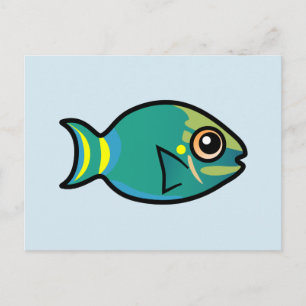 Cute Stoplight Parrotfish Postcard