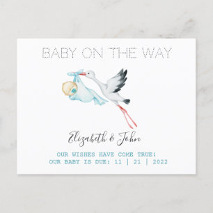 Cute Stork Baby Announcement Postcard