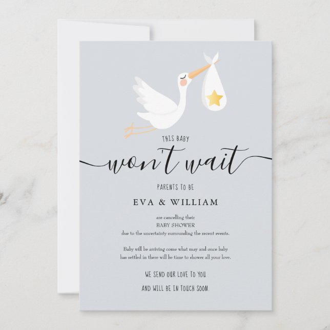 Cute Stork Baby Shower Sprinkle Cancellation Card (Front)