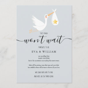 Cute Stork Baby Shower Sprinkle Cancellation Card