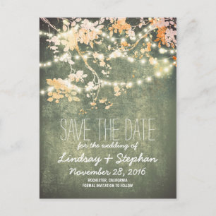 cute string lights rustic save the date postcards